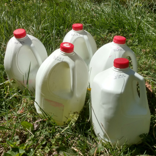 five gallons of fine, artisanal liquid bleach